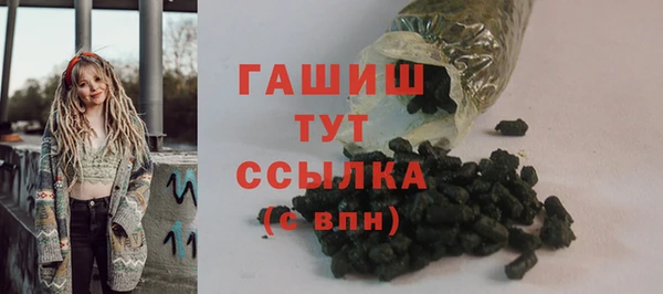 соль ск Туринск