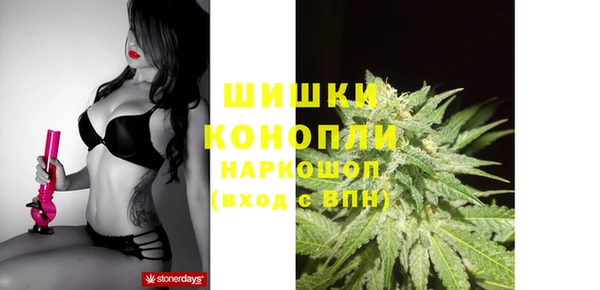 амф Гусиноозёрск