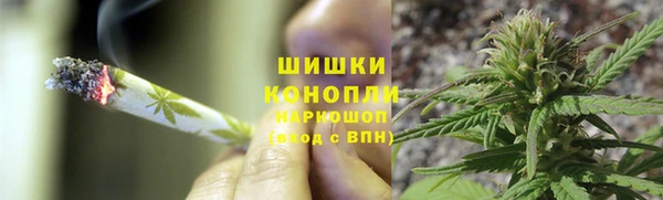 стафф Вяземский