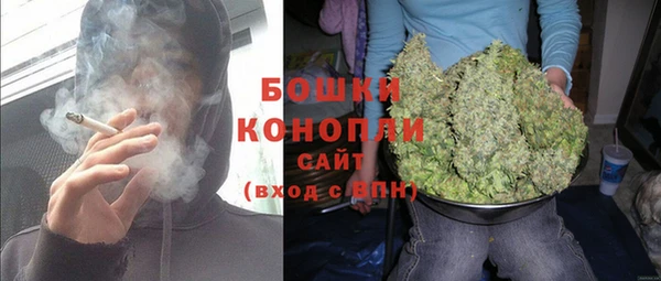 соль ск Туринск