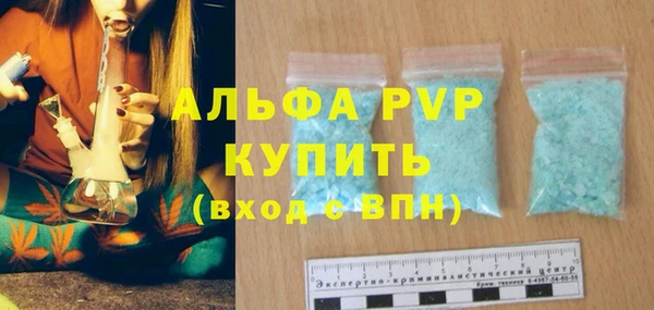 амф Гусиноозёрск