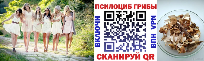 Галлюциногенные грибы GOLDEN TEACHER  где можно купить   мега ссылки  Дивногорск 